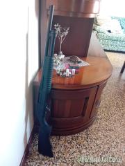 Hatsan Escort 12