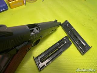 SIG-Sauer 1911 .22 LR Long Rifle