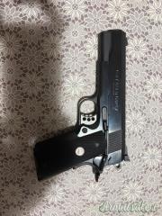 Colt Gold cup 45 ACP .45 ACP