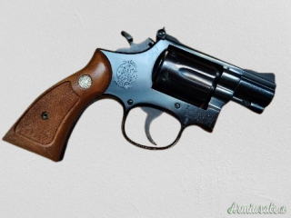Smith & Wesson 15 due pollici