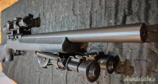Ruger | Sturm 10/22 Tactical .22 Long Rifle