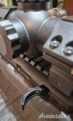 Ruger | Sturm 10/22 Tactical .22 Long Rifle