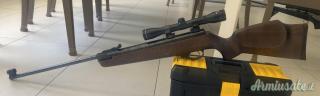 Winchester Stealth .308 Winchester