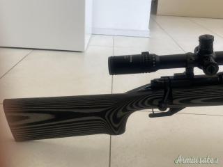 Winchester Stealth .308 Winchester