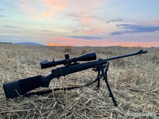 Blaser R93 .243 Winchester