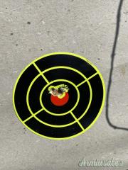 Blaser R93 .243 Winchester