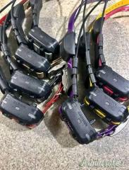 Nuovi collari Garmin per cani 