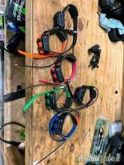 Ricondizionamento collari Garmin TT15 mini, 100€ ciascuno.
