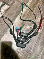 Ricondizionamento collari Garmin TT15 mini, 100€ ciascuno.