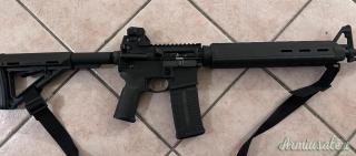 Bushmaster 223 REM .223 Remington