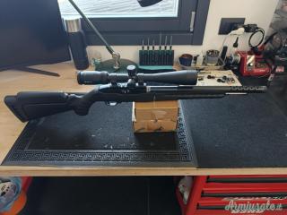 Ruger | Sturm 10/22 Takedown lite .22 Long Rifle