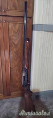Browning Gold 12