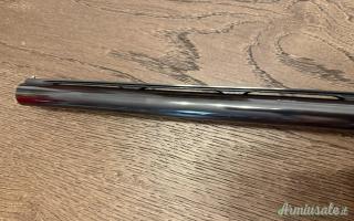 Beretta A303 12