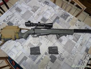 Striker AS02 Custom