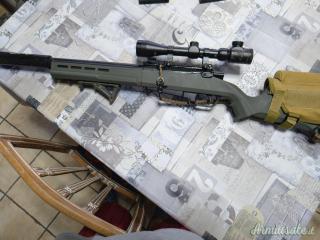 Striker AS02 Custom