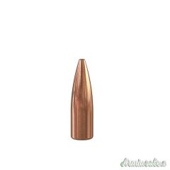 SPEER Palle Varmint Hallow Point TNT 257