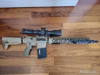 Dpms Ar10 .308 Winchester custom