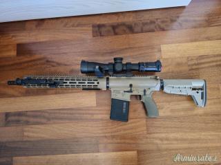 Dpms Ar10 .308 Winchester custom