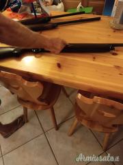 Beretta 301 12