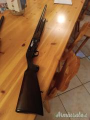 Beretta 301 12