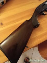 Beretta 301 12