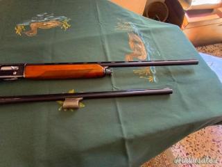 Beretta A301 12