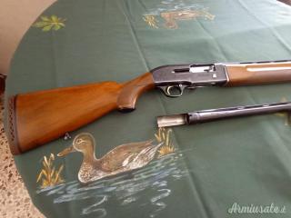 Beretta A301 12