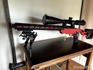 Ruger | Sturm Precision Rimfire