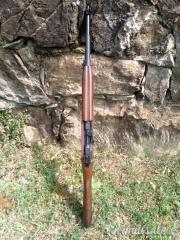Chiappa Armi M1-22  .22 Long Rifle