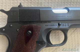 Colt Government Model 1911 .45 ACP