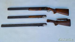 Beretta ASE GOLD 12