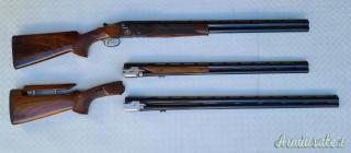 Beretta ASE GOLD 12