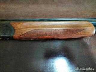 Fausti primatist p4  trap 12