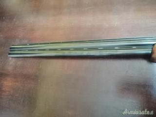 Fausti primatist p4  trap 12