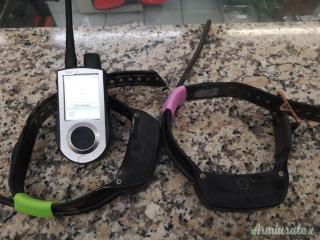 Canicom gps combo , Beeper collar
