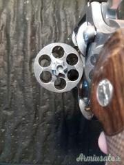 Colt Python .357 Magnum  |  9x31mmR  | .353 Casull