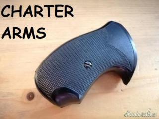 Revolver charter arms