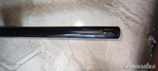Canna Beretta Slug 12