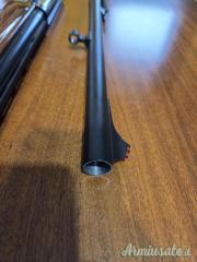 Benelli Benelli raffaello 123 12  12