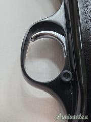 Beretta 301 20