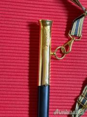 Sciabola / Spadino da parata e cerimonia - Completa di accessori