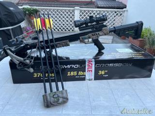Balestra compound ManKung 185 lbs