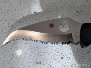 Spyderco Matriarch 2
