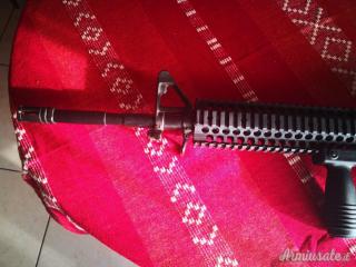 Oberland Arms oa 15  .223 Remington canna da 16