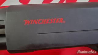Wincester defender cal.12