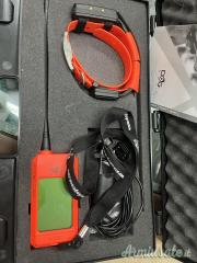 Kit collare e palmare Dog trave X20 Gps