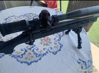 Remington 700 .308 Winchester