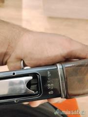 Beretta 301 12