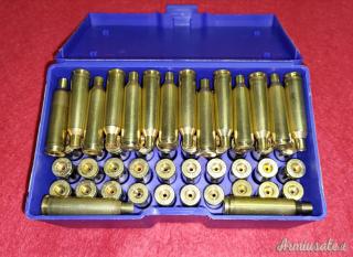 Wilson 22-250