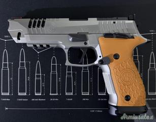Steyr Mannlicher Atc rock 9x19mm Parabellum | Luger | NATO